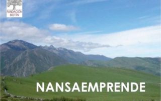 nansaemprende